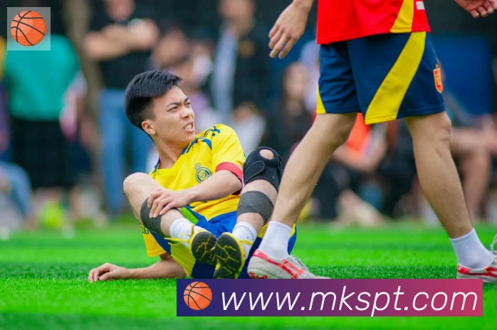 mksports平台生态图